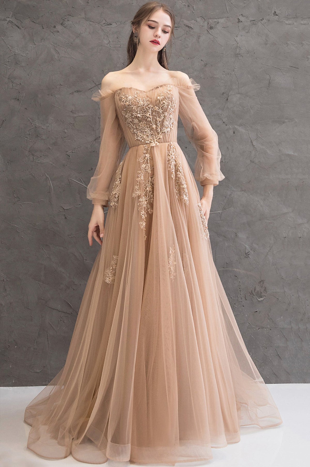 Elegant Tulle Lace Long Prom Dresses, A-Line Formal Evening Dresses