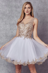 Embroidered short sleeveless V-neck dress