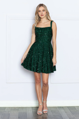 Sparkling short sleeved velvet dress