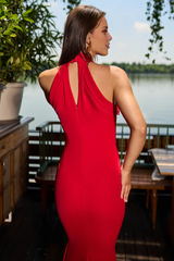 Mermaid sleeveless hanging neck collar and floor length evening gown