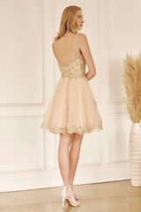 Embroidered short sleeveless V-neck dress