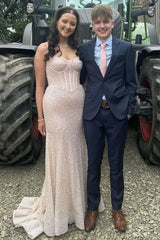 Sweetheart Spaghetti Straps Long Mermaid Sequins Party Prom Dress  ED01846