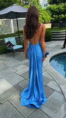 Blue Straps Open Back Mermaid Evening Dress Prom Dresses Charming Party Dress Wholesale
