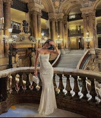 Pretty Mermaid Spaghetti Straps Long Lace Party Dresses Prom Dresses SD2461