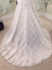 A-Line/Princess Lace V-neck Plus Size Wedding Dresses