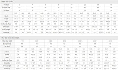 Long A-line Lace Sleeves White Wedding Dress with Slit