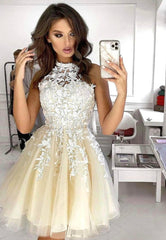Cute Lace Short Prom Dresses, A-Line Homecoming Dresses
