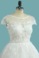 Elegant Lace Backless Long Wedding Dress With Appliques