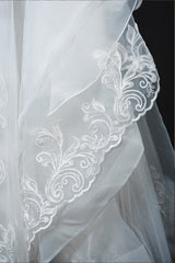 Elegant Long Sleeve Ball Gown Wedding Dress with Lace Appliques