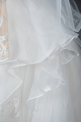 Elegant Long Sleeve Ball Gown Wedding Dress with Lace Appliques