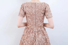 Elegant Short Or Long Sleeves Lace Evening Gowns Online Zipper Back With Belt