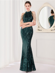 Prom Dresses Sparkle Shine Dress Formal Floor Length Sleeveless Sequined with