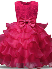 Gorgeous Sleeveless Jewel Neck Flower Girl Dresses with Lace Tulle and Bows Belt and Bow