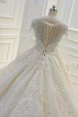 Long Sleeves Ball Gown Wedding Dress with Beading & Lace Appliques