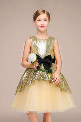 Lovely Jewel Sleeveless Flower Girl Dress with Tulle and Sequins