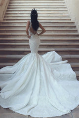 Luxurious V-Neck Mermaid Wedding Dress With Lace Appliques Sleeveless