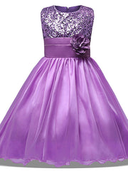 Princess Midi Dress with Tulle Sleeves Jewel Neck & Bow Applique