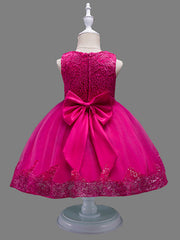 Princess Midi Lace/Tulle Jewel Neck Dress for Wedding/Birthday with Petal/Lace/Embroidery