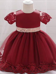 Sleeveless Jewel Neck Lace Ball Gown for Weddings and Parties