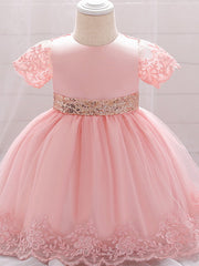 Sleeveless Jewel Neck Lace Ball Gown for Weddings and Parties