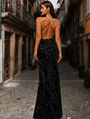 Prom Dresses Floor Length Sleeveless V Neck Sequined Backless Back with