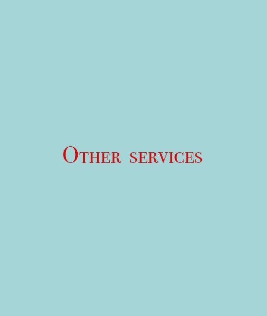Other services - RongMoon