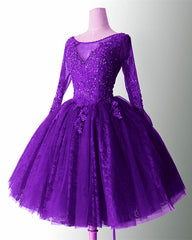Short Tulle Ball Gown Lace Long Sleeve Dress