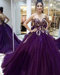 Sweetheart Organza Ball Gown Dresses Gold Lace Embroidery